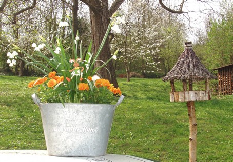 Au jardin fleuri - Gite en Alsace